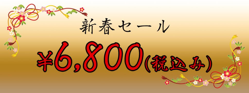 新春セール 通常 ¥9,800(税込み)から¥3,000 OFF!! ¥6,800(税込み)で販売いたします
